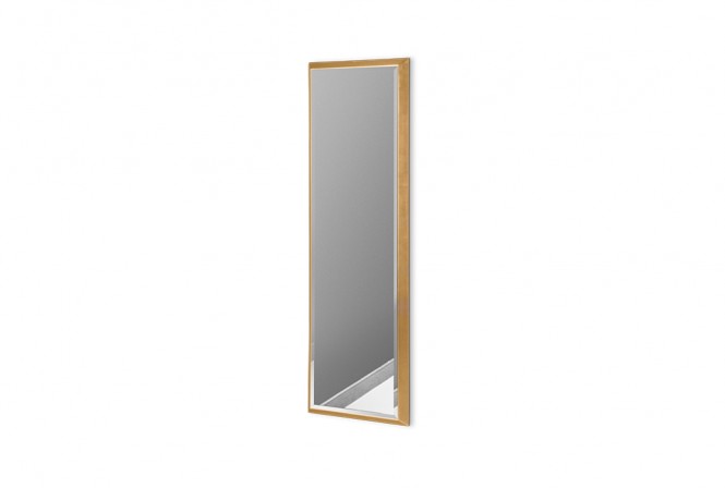 Modern mirror in a golden frame 23 x 83 cm