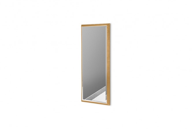 Modern mirror in a gold frame 18 x 53 cm
